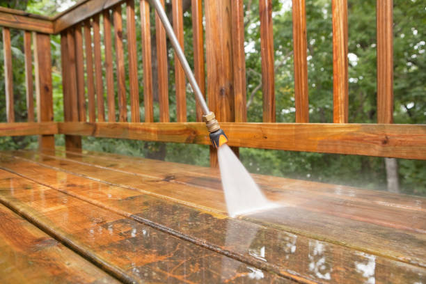 Best Affordable Pressure Washing  in Novato, CA